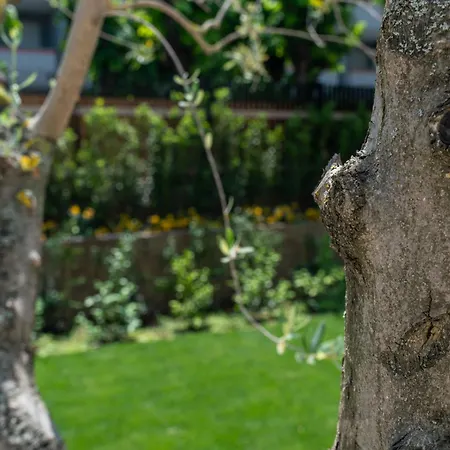 Ξενοδοχείο Verdeoro 5*