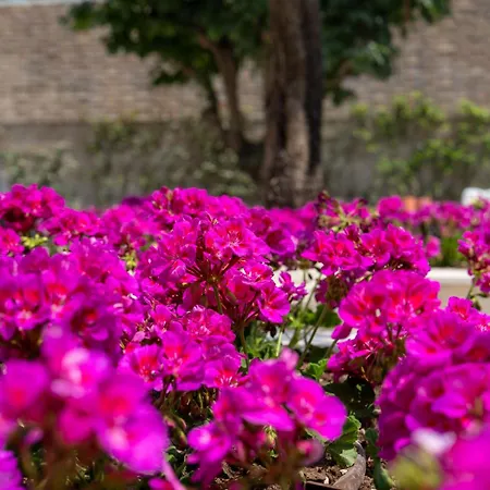 Verdeoro 5* Montesilvano Marina