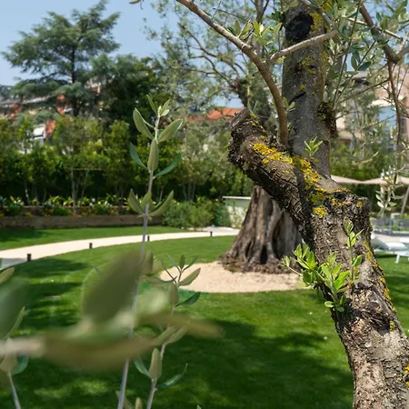 Verdeoro Montesilvano Marina