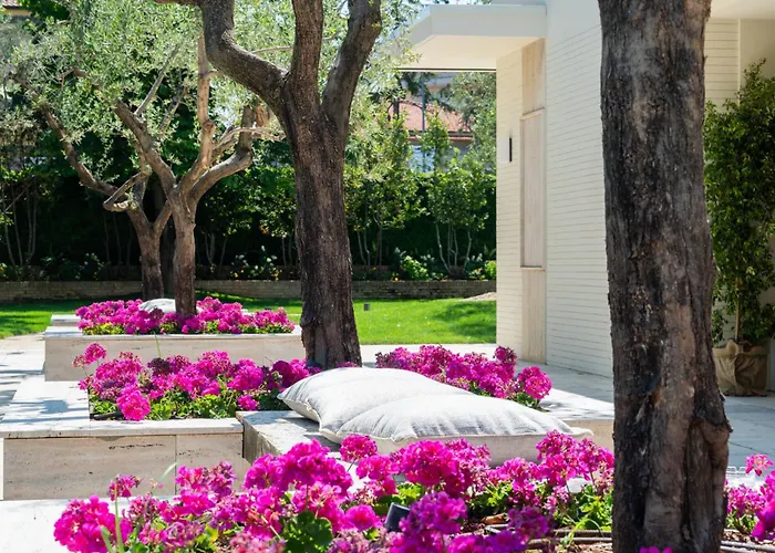 Отель Verdeoro 5*