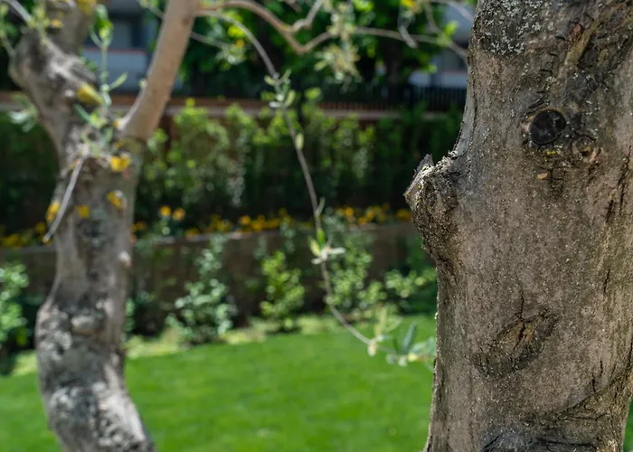 Отель Verdeoro 5*