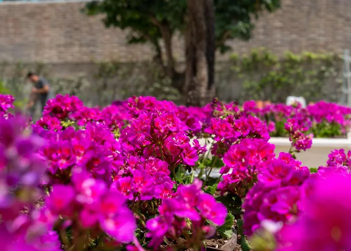 Verdeoro 5* Монтесильвано