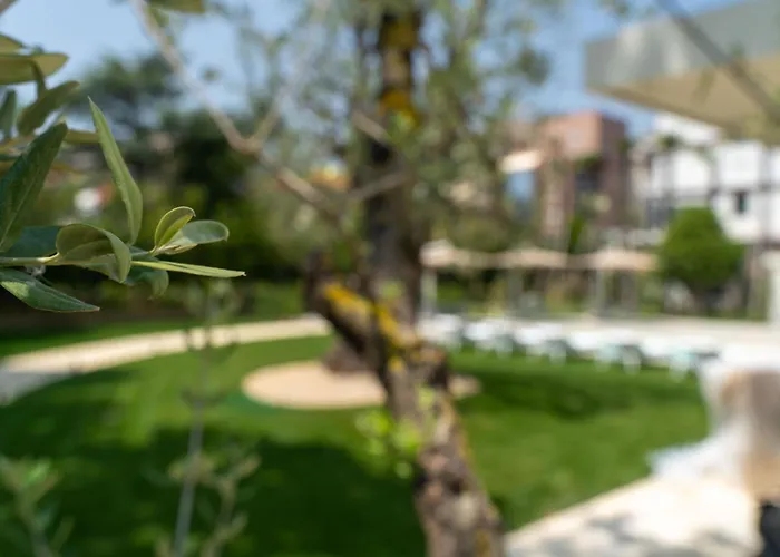 Отель Verdeoro Монтесильвано